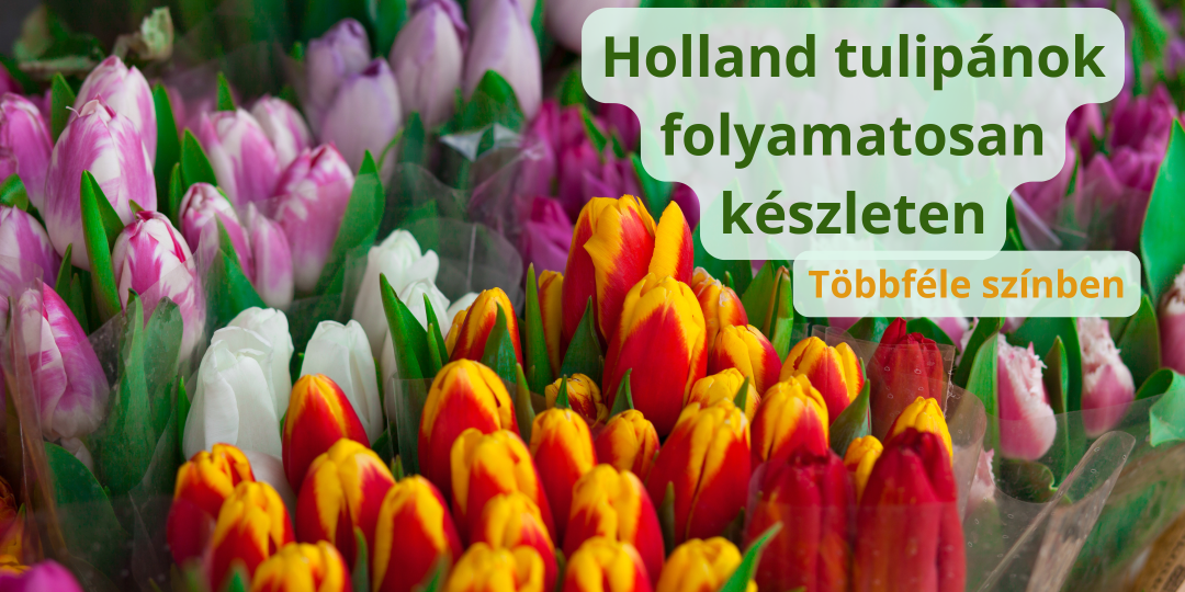 Virágküldés - Virágfutár - VirágWebShop