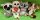 Plüss állat (Lemúr, Foltos Koala, Kék-fehér Róka, Maki)