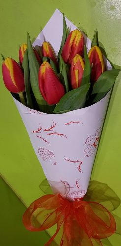 Tulipánok szolíd díszítéssel 
