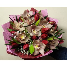 Tulipánok és orchideàk