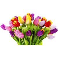 -  Tulipánok, fréziák , tavaszi csokrok, stb.