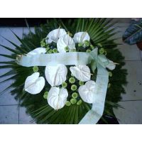  - Kegyeleti kötészet