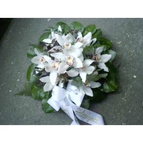 orchidea koszorú