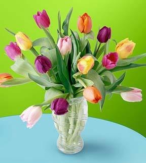 tulipánok vázával- 15 szál  (Csak Bp.-re és Pest megyébe rendelhető kiszállítással!)
