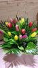 tulipán csokor 20 szálból  