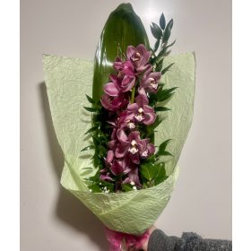 Orchidea